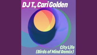 City Life Birds Of Mind Remix [upl. by Ahsiemat785]