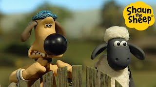 Shaun the Sheep 🐑 Bitzer and Shaun Adventure  Cartoons for Kids 🐑Full Episodes Compilation 1 hour [upl. by Adoree459]