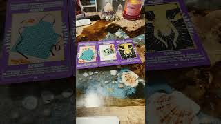 Collective Reading 🙏🔮🪄🤫 tarot soulmate horoscope tarotreading love collective [upl. by Ellak]