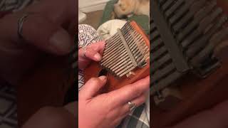 Kalimba thumb piano Harry Potter hedwig’s theme [upl. by Buna]