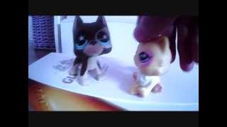 Clip lps version chipettes [upl. by Deden]