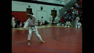 World Oyama Karate Matsumoto Dojo IFK Tournament Julien Kata 8 [upl. by Aneelad662]