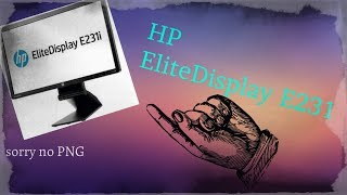 HP EliteDisplay E231 Review  After 1 Month  Amazing deal Read DescriptionComments [upl. by Obnukotalo375]