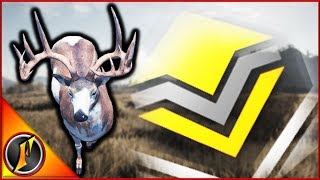 How I Grind for Whitetail  Featuring a PIEBALD DIAMOND [upl. by Jobi770]