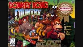 Donkey Kong Country Simian Segue Theme Song [upl. by Burley]