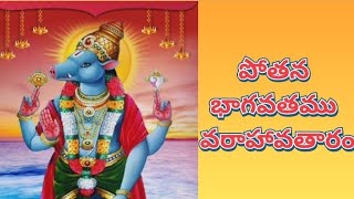 పోతన భాగవతము వరాహావతారంpothana BHAGAVATHAM varahavatharam [upl. by Daukas]