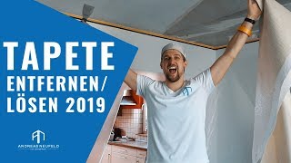 TAPETEN entfernen TIPPS 2019  Einfach Tapete lösen vom Wandprofi [upl. by Annavas]