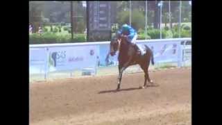 2e course  Gd Prix de Son Altesse Royale le Prince Moulay Rachid  PS arabes  1750 m [upl. by Neetsuj107]