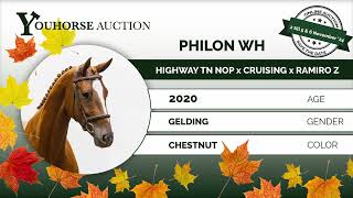 Philon WH IN THE AUTUMN YOUHORSEAUCTION UNDER THE SADDLE NOVEMBER 2  NOVEMBER 5 amp 6 [upl. by Harv]