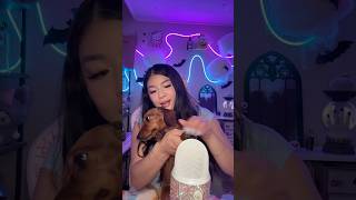 Real or Fake🐶 asmr shorts [upl. by Ennyroc]