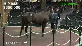 Finesse sells for 900000 at 2024 Keeneland November [upl. by Carlos218]