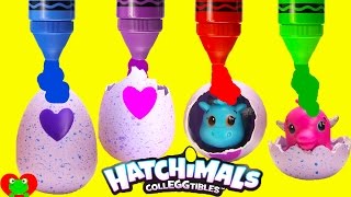 Hatchimals Colleggtibles Surprise Eggs [upl. by Berne]