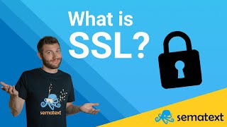 SSLTLS Explained in 7 Minutes [upl. by Aicilram]