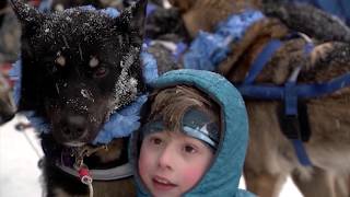 Recap The 2020 Iditarod Trail Sled Dog Race [upl. by Ahsirtak965]