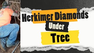 Finding Herkimer Diamonds in New York [upl. by Arbmik383]