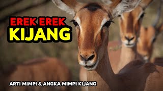 EREK EREK KIJANG 2D 3D 4D amp ARTI MIMPI TENTANG KIJANG [upl. by Giddings]