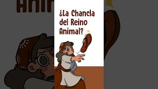 ¿La Chancla del Reino Animal [upl. by Aneeres]