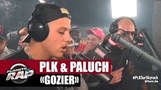 PLK quotGozierquot ft Paluch PlanèteRap [upl. by Merline]