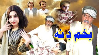 Baham de Na  Newislahy video By Sherpao vines [upl. by Azelea]