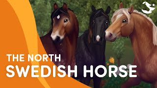 Meet the North Swedish Horse 😍💪  Star Stable Breeds [upl. by Debo840]