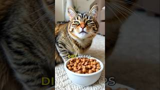 5 Foods That Can Harm Your Cat catsafety catfacts animalfacts [upl. by Halette27]