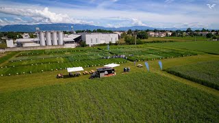 Field Day Foraggere cereali e cover crop 9 Maggio 2024  Padana Sementi [upl. by Suirred]