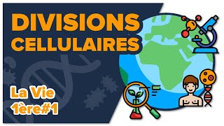 Les divisions cellulaires des eucaryotes SVT  LA VIE 1ère spé 1  Mathrix [upl. by Nie]