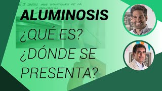 ¿Qué es la aluminosis y dónde se puede presentar  Patología de hormigón armado [upl. by Siryt]