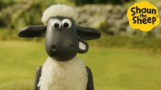 Shaun the Sheep 🐑 Happy Sheep  Cartoons for Kids 🐑 Full Episodes Compilation 1 hour [upl. by Yedoc]