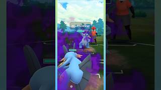 Shadow Swampert vs Swampert and Leads Wins Battle Wins in Sunshine Cup pokemongo gbl pokemon [upl. by Thekla]