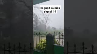 signal 4 isabela nikaph bagyongnika keepsafe viralnews viralshorts viralvideos [upl. by Nylarac679]