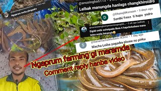 Ngaprum farming gi maram da comment pirakpa mayam kuiraba matung da reply hanba video [upl. by Marcelia]