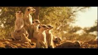 LA FAMILLE SURICATE  BandeAnnonce VF [upl. by Garmaise]