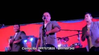 Animalandia Orquesta Blue Stars de Quevedo en Vivo HD [upl. by Liv]