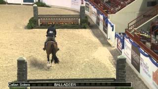 236 BALLADEER Callan Solem Class 92 Green Conformation Hunter [upl. by Benedikta655]