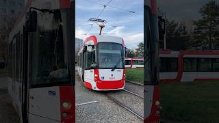 ZVONÍM ZVONKEM BRNĚNSKEJ DVOJ DRAK dpmb tramvaj tram brno [upl. by Beckerman]