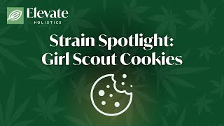 Strain Spotlight Girl Scout Cookies [upl. by Tucker]