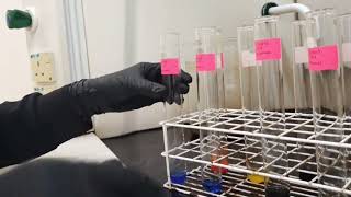 Reaction of Aldehyde and Ketone  Fehlings Test Lab CHM132 [upl. by Garbers760]