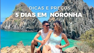 FERNANDO DE NORONHA  O QUE FAZER E ONDE COMER  ROTEIRO DE 05 DIAS  PREÇOS EM NORONHA  VIAGEM [upl. by Tedder718]