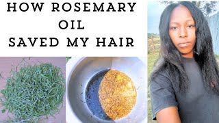 DIY Rosemary Oil For Hair Growth And Hair Fall [upl. by Ojeitak590]