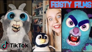 Feisty Pets TikTok Madness Mashup [upl. by Loux]