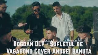 Bogdan DLP  Sufletul de Vagabond Cover Andrei Banuta Official Music [upl. by Cher829]