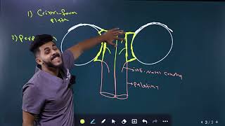 Ethmoid bone تشريح بالعربي [upl. by Wilmette]