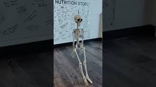 Skelly The Skeleton Visits TNS [upl. by Giovanna]