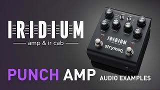 Strymon Iridium – Punch Amplifier Examples – Demo [upl. by Areid]