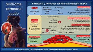 HEMOSTASIA EN 5 MINUTOS y fármacos fibrinolíticos anticoagulantes y antiagregantes [upl. by Charron]