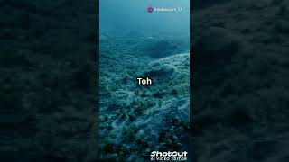 Predators of the Deep The Top 10 Most Dangerous Fishfacts viperfish hugefish youtubeshorts yt [upl. by Shirlene]