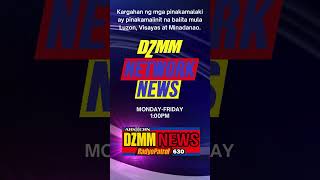 FANMADE DZMM Network News Promo Plug 2024 HD [upl. by Dazraf]