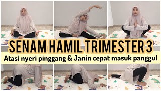 SENAM HAMIL TRIMESTER 3 AGAR JANIN CEPAT MASUK PANGGUL [upl. by Huberman768]