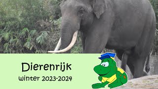 Dierenrijk winter 20232024 [upl. by Ititrefen145]